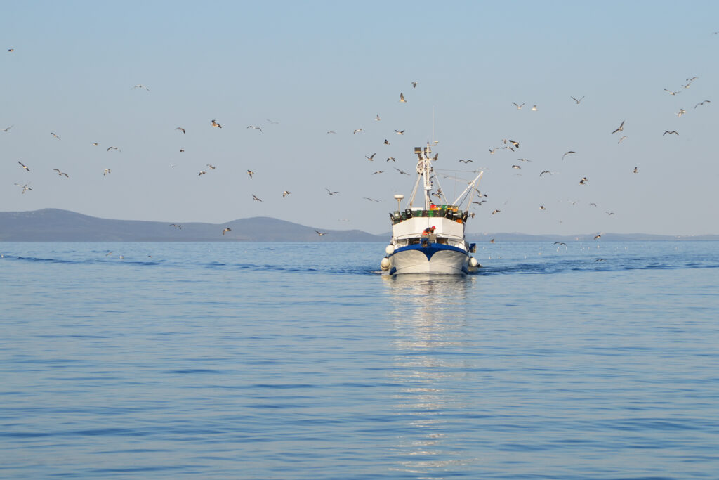 Règles de navigations