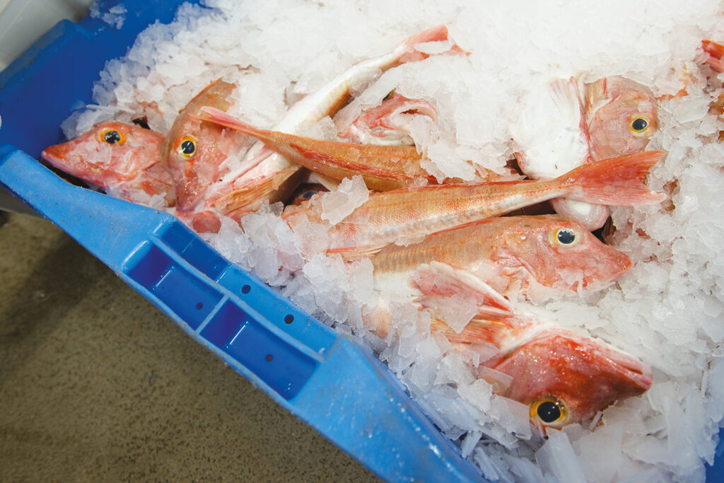 Un fonds d’accompagnement pour une pêche durable