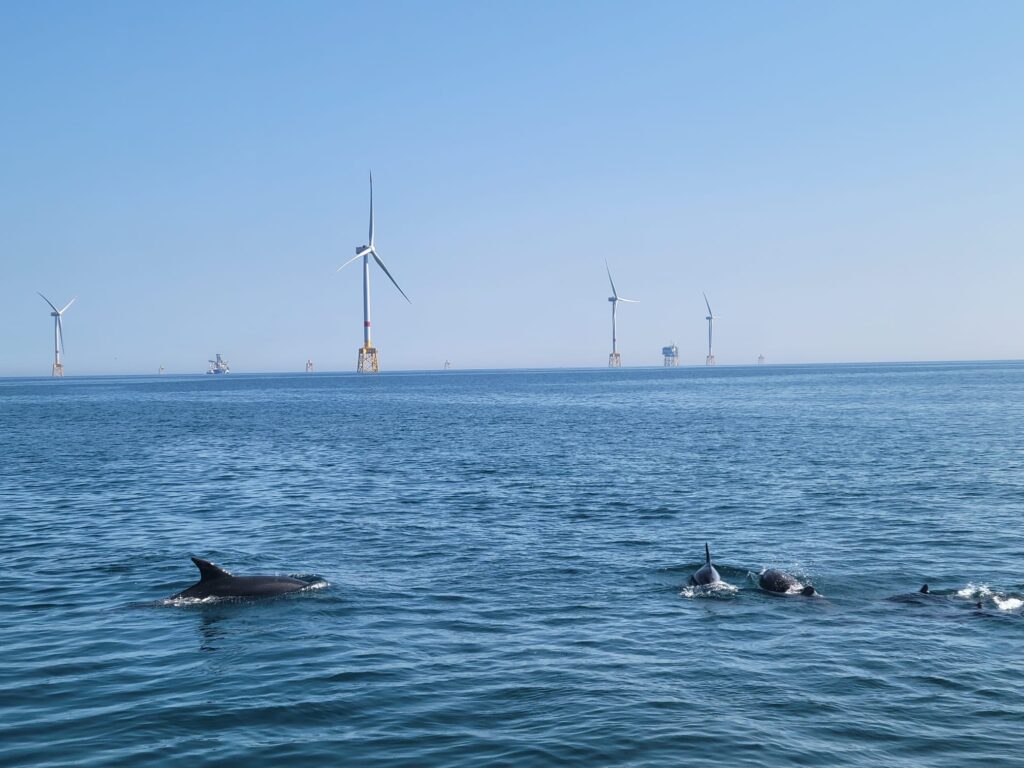 Les premiers électrons sont injectés sur le réseau.