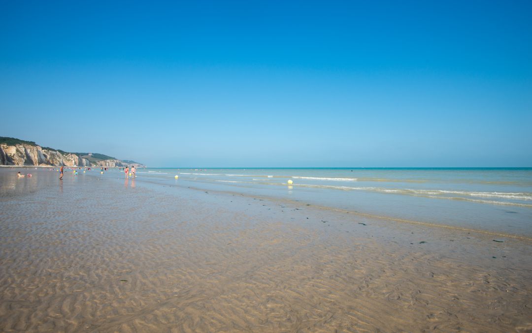 Nettoyage de plage : RDV le 14 décembre à Dieppe !