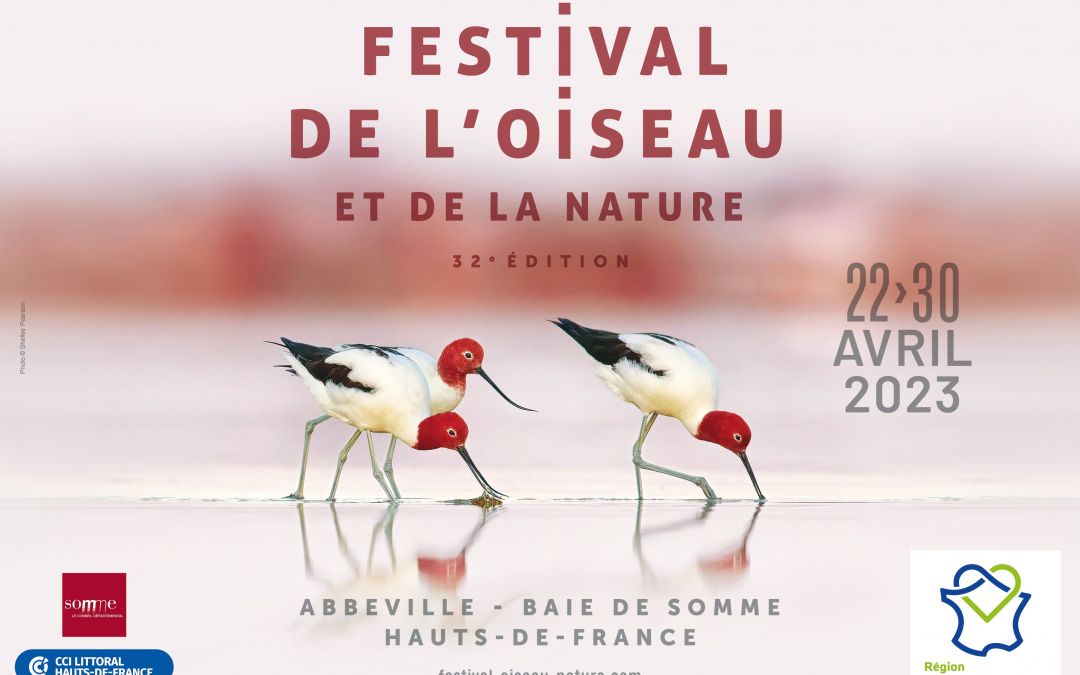 RDV en Baie de Somme pour le Festival de l’Oiseau et de la Nature !